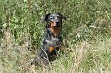 BEAUCERON 106